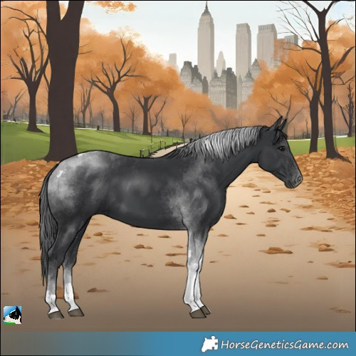 Horse Color:Platinum Black Tobiano 