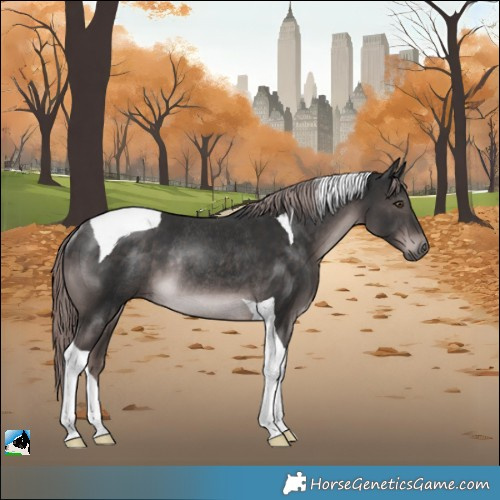 Horse Color:Platinum Liver Chestnut Tobiano Rabicano