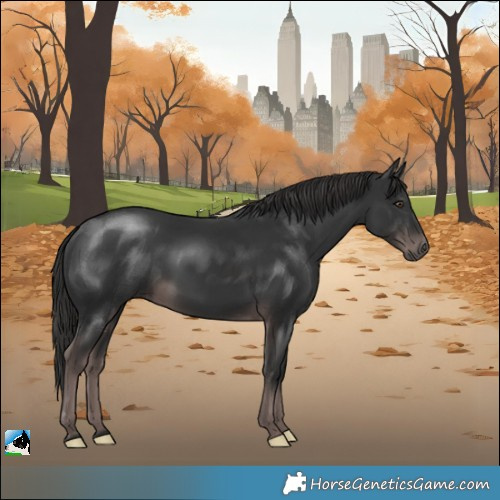 Horse Color:Platinum Liver Chestnut Rabicano