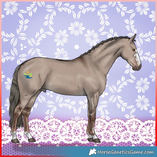 Horse Color:Liver Red Dun Mushroom 