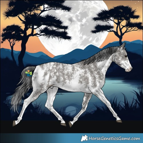 Horse Color:Grullo Sabino Varnish Rabicano