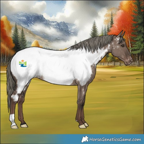 Horse Color:Liver Red Dun Mushroom Near Fewspot
