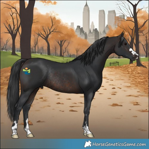 Horse Color:Brown Rabicano