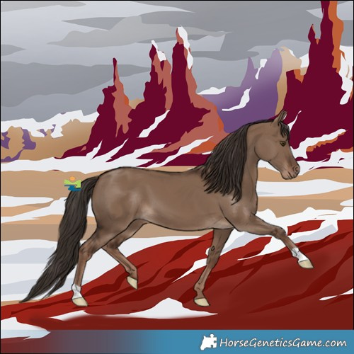 Horse Color:Liver Red Dun