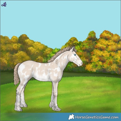 Horse Color:Smoky Creme Dun Leopard Brindle