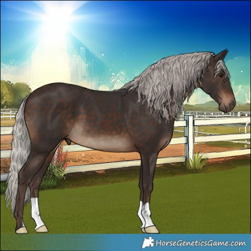 Horse Color:Silver Brown