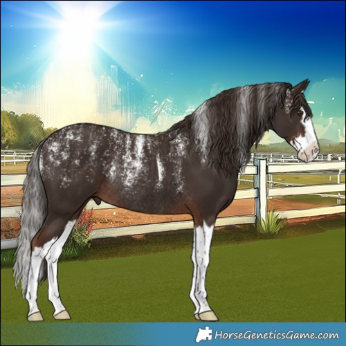 Horse Color:Powder White Liver Chestnut Splash Rabicano 