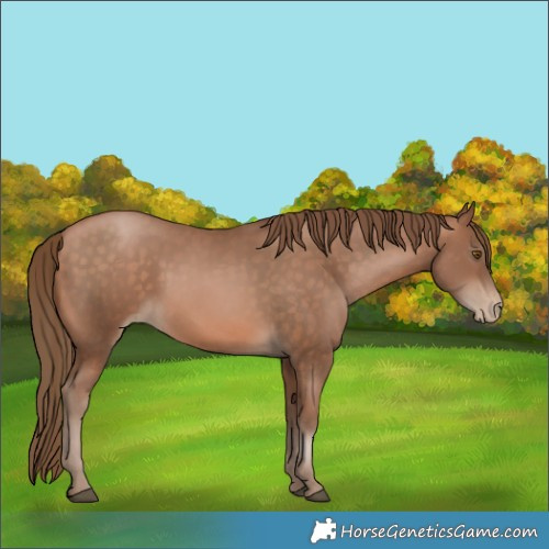 Horse Color:Brown Pearl 