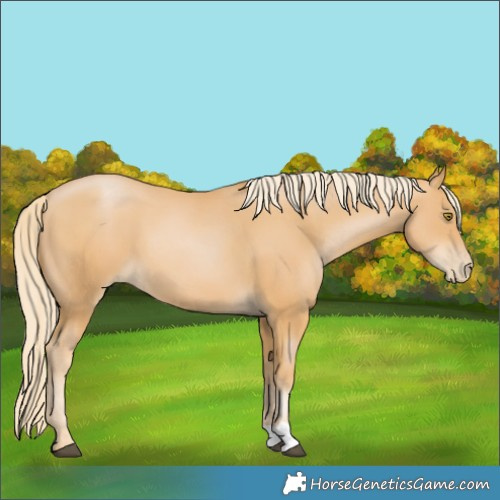 Horse Color:Chestnut Pearl 