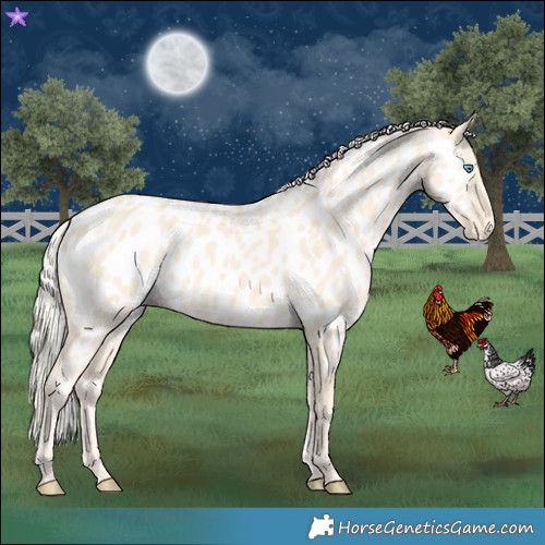 Horse Color:Cremello Near Leopard 