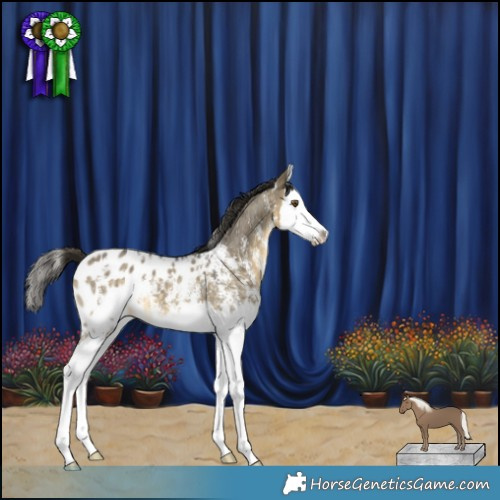 Horse Color:Buckskin Dun Mushroom Sabino Splash Blanket 