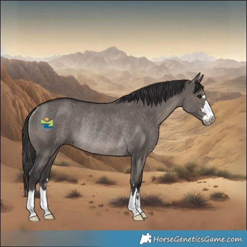 Horse Color:Smoky Grullo Rabicano