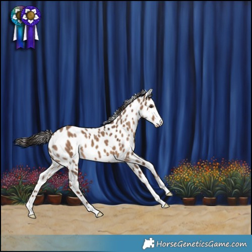 Horse Color:Liver Red Dun Leopard 