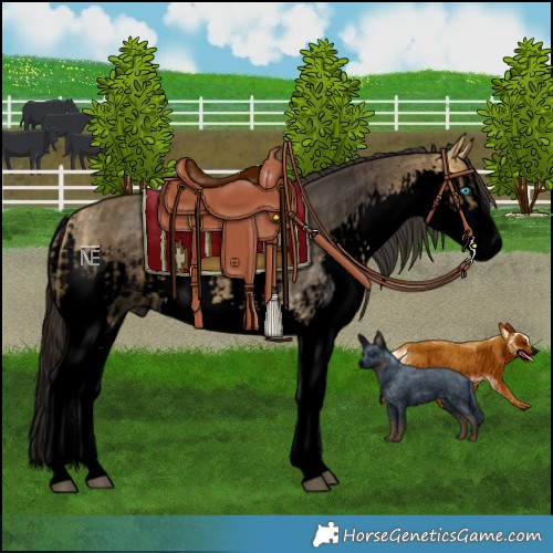 Horse Color:Void Pseudo Buckskin Splash and Void Pseudo Buckskin Splash