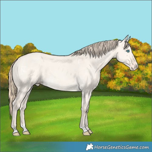 Horse Color:Perlino Dun Varnish 