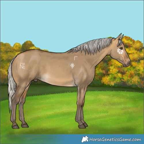 Horse Color:White Spotted Silver Buckskin Dun 