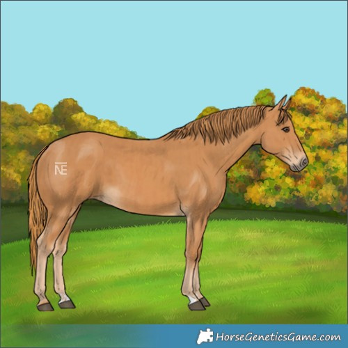Horse Color:Chestnut  and Chestnut 