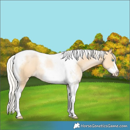 Horse Color:Silver Bay Tobiano Frame Rabicano