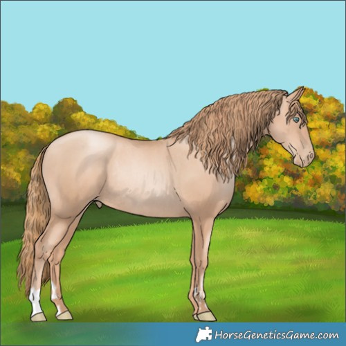 Horse Color:Gold Champagne Pearl Rabicano  and Gold Champagne Pearl Rabicano 