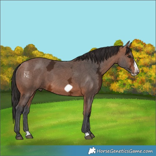 Horse Color:Bay Ice Frame 