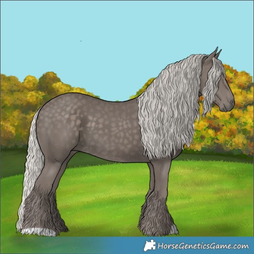 Horse Color:Silver Smoky Black