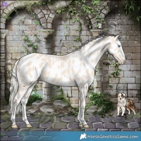 Horse Color:Cremello Near Leopard