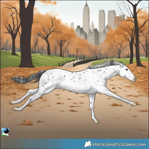 Horse Color:White Spotted Black Sabino Splash