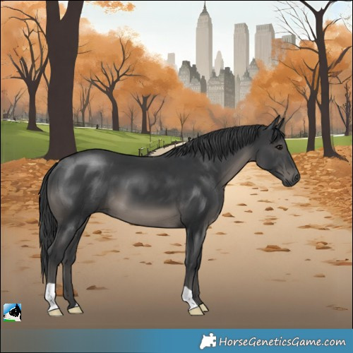 Horse Color:Black Mushroom 