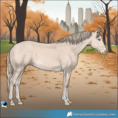 Horse Color:Perlino Mushroom 