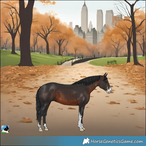 Horse Color:Brown Sabino 