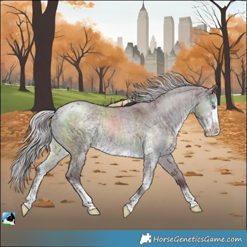 Horse Color:Chocolate Silver Grullo Chinchilla Sabino Rabicano 