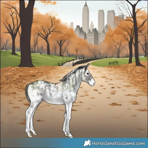Horse Color:Grullo Mushroom Sabino Rabicano Brindle 