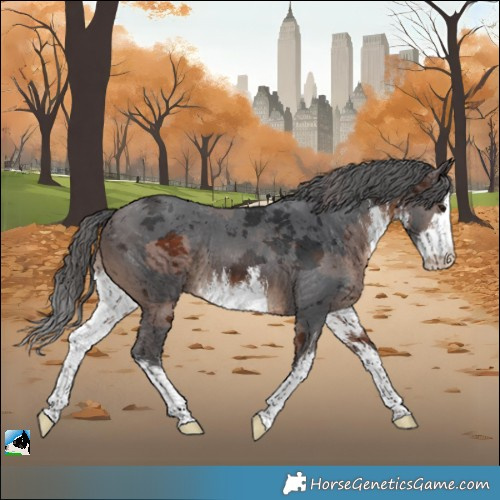 Horse Color:White Spotted Brown Merle Rabicano 