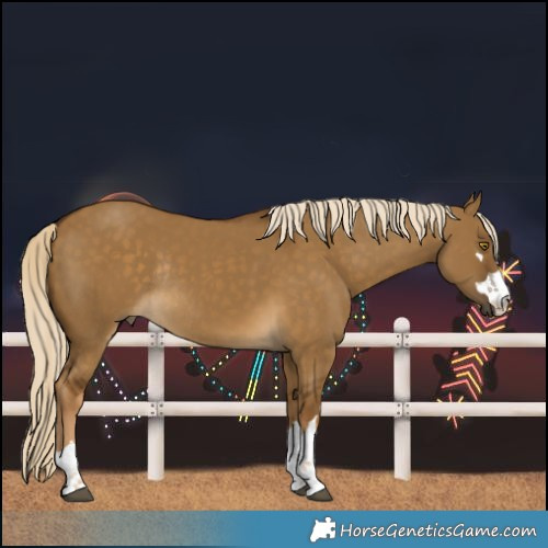 Horse Color:Chocolate Palomino Dun Rabicano 