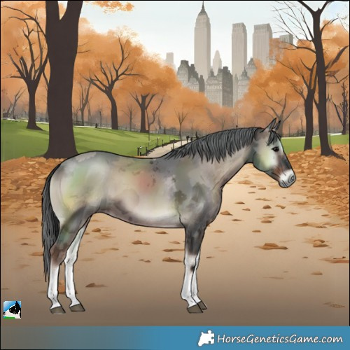 Horse Color:White Spotted Blue Onyx Merle