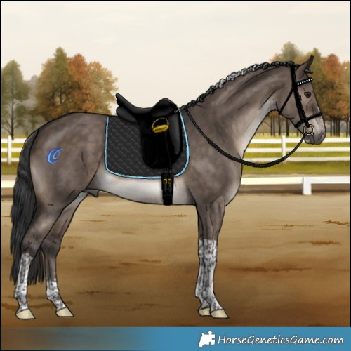 Horse Color:Brown Dun Sabino Tobiano Rabicano 