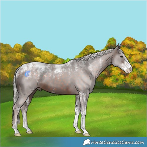 Horse Color:Powder White Silver Brown