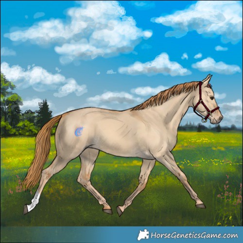 Horse Color:Red Dun 