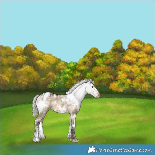 Horse Color:Plaid White Spotted Silver Brown Ice Dun