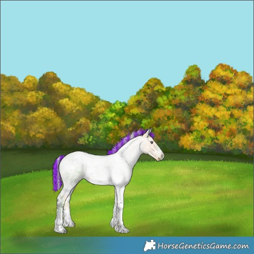 Horse Color:Painted Watercolor White Spotted Silver Brown Chinchilla Ice Dun Brindle