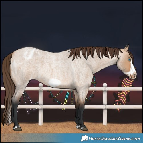 Horse Color:Bay Roan Dun Splash Frame Blanket 