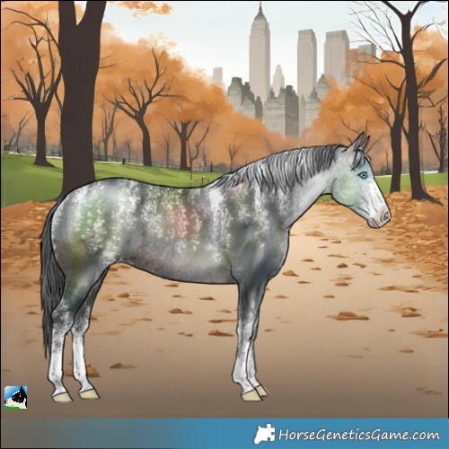 Horse Color:Powder White Brown Merle Sabino Rabicano 