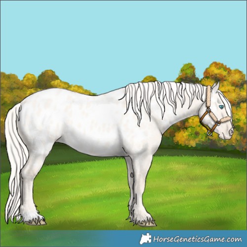 Horse Color:Cremello Dun Near Leopard