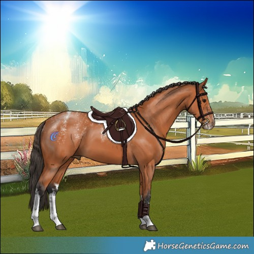 Horse Color:Powder White White Spotted Bay 