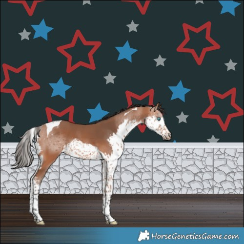 Horse Color:Bay Splash Tobiano 