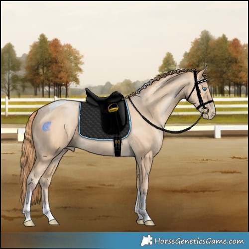 Horse Color:Buckskin Pearl Tobiano 