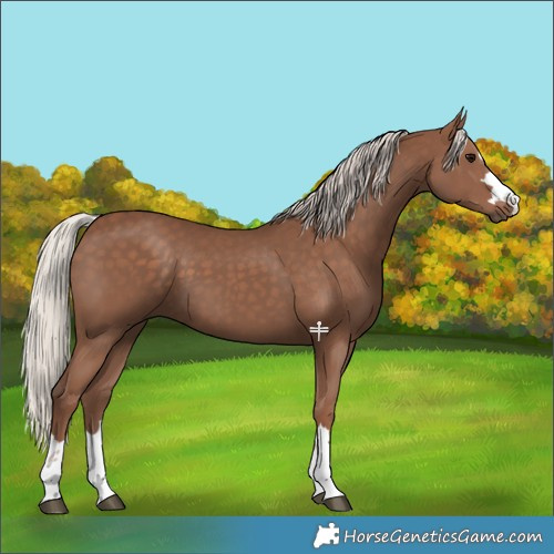 Horse Color:Silver Black