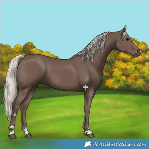 Horse Color:Silver Black
