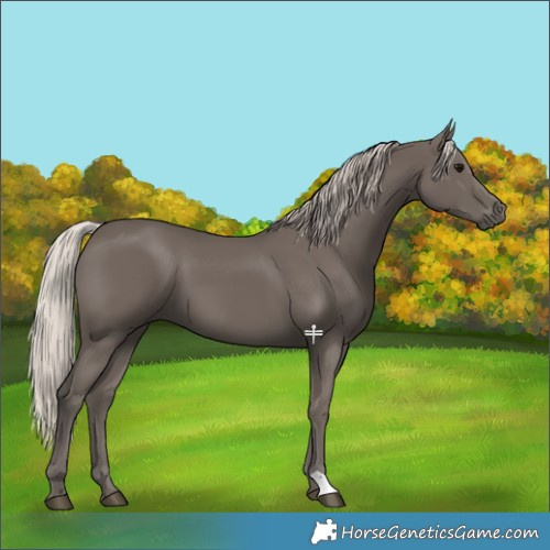 Horse Color:Silver Black 