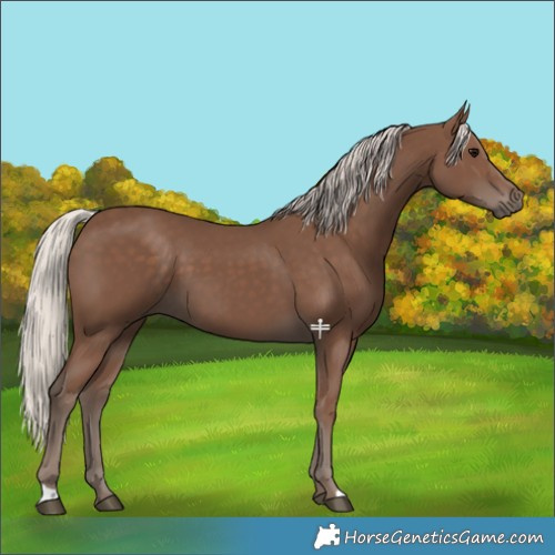 Horse Color:Silver Black 